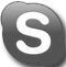 Skype icon